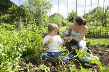 Ways to Teach Your Kids to be More Eco-Conscious